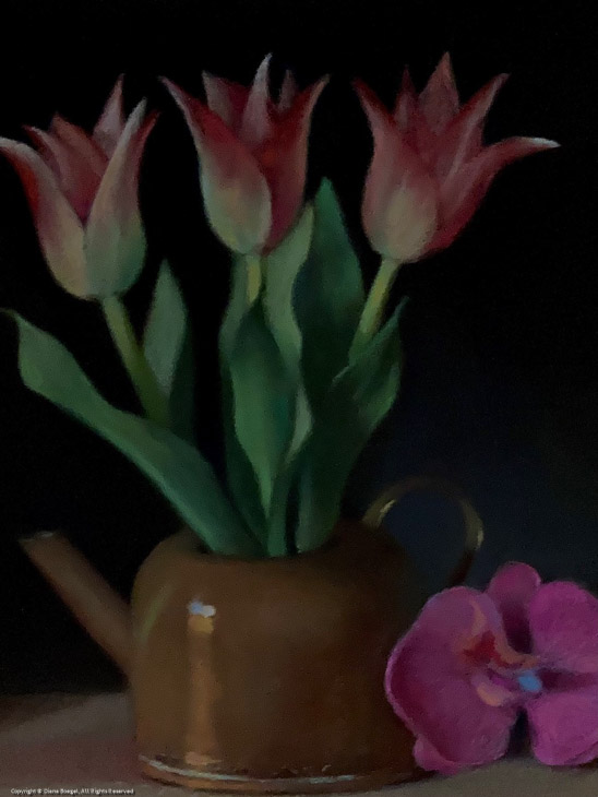 Tulips and an Orchid Flower