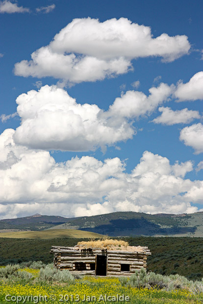 Montana Skies