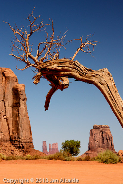 Monument Valley Snag