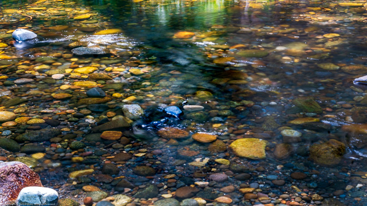 Beaver Creek