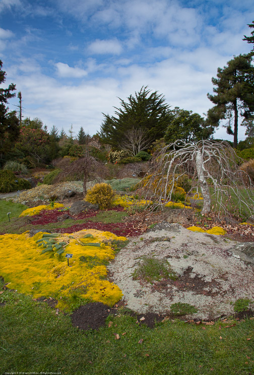 Garden Plantings