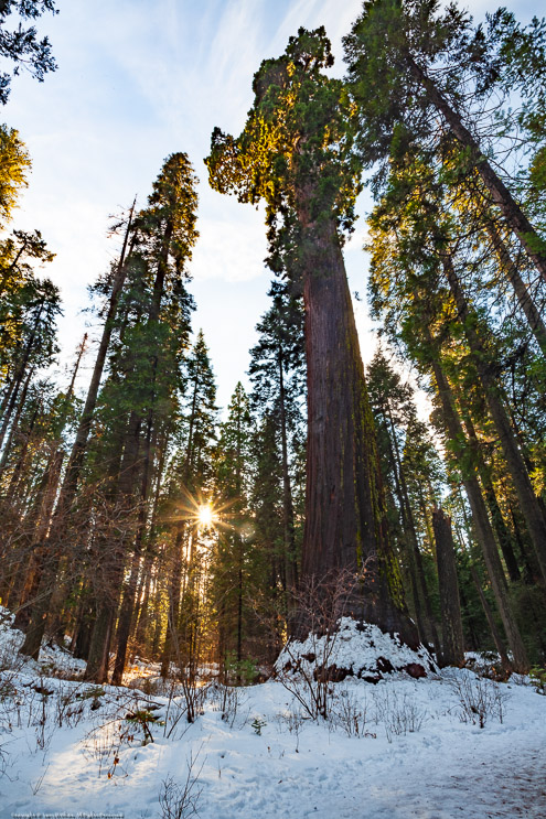 Calaveras Big Trees State Park