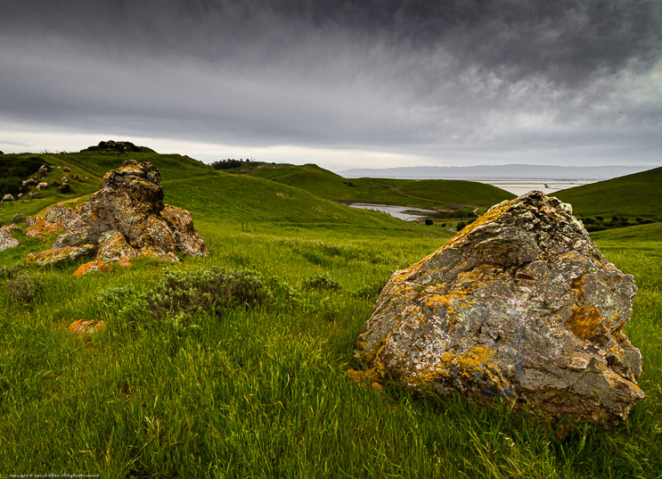 Coyote Hills