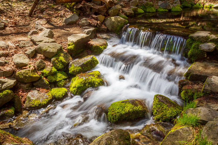 Fern Spring, Yosemite Valley