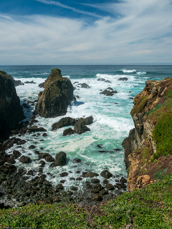 Mendocino Botanical Gardens