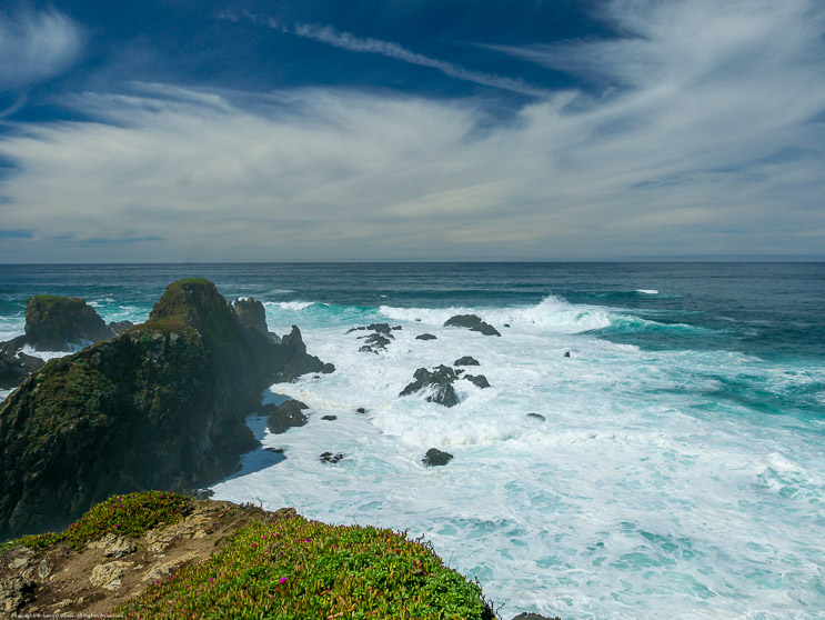 Mendocino Botanical Gardens