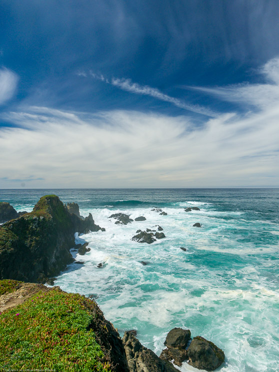 Mendocino Botanical Gardens