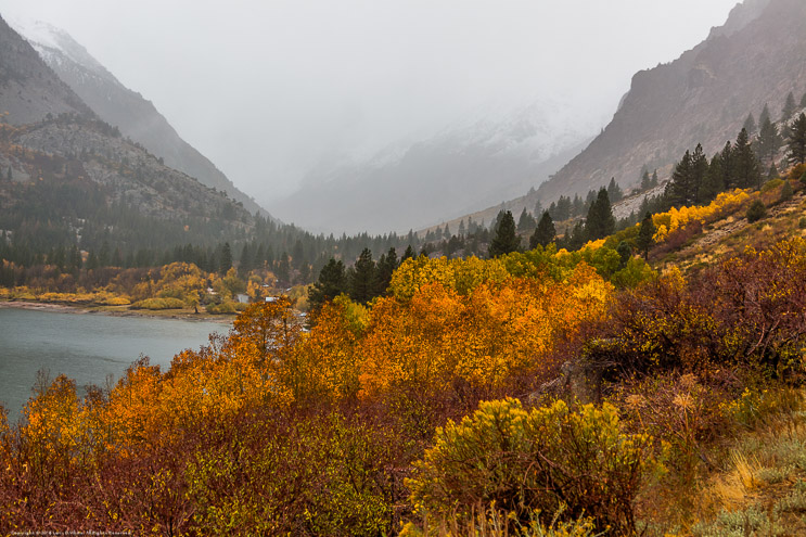 Bright spot of Color as the Storm Approches