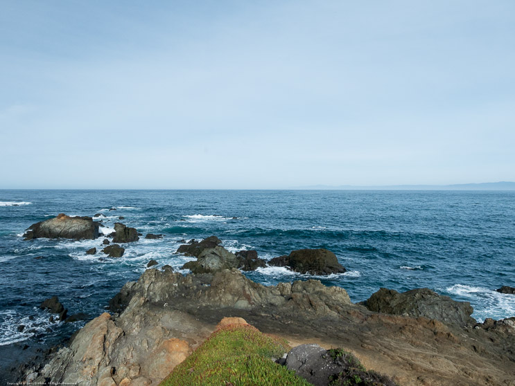 Mendocino Coast