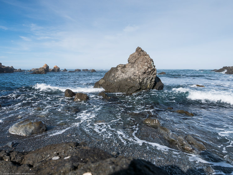 Mendocino Coast