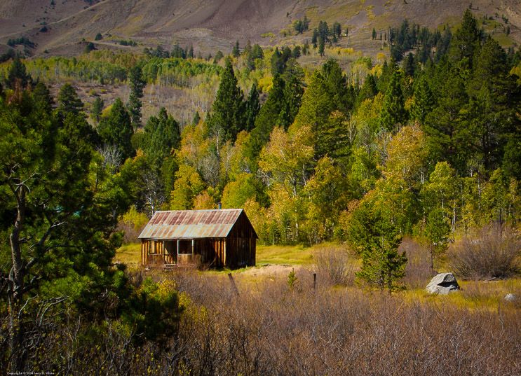 Cabin and Fall Colors in Hope Valley