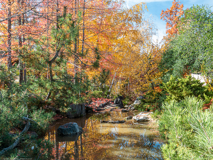 Fall Colors at Ironstone 