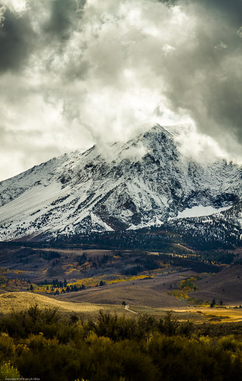 Aspens and Mount Dana from the June Lake Loop