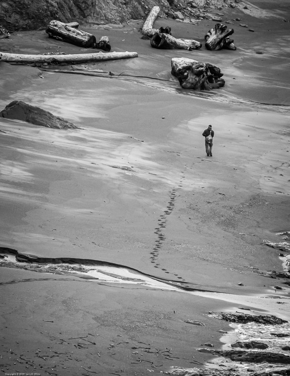 Lonely Footsteps in the Sand