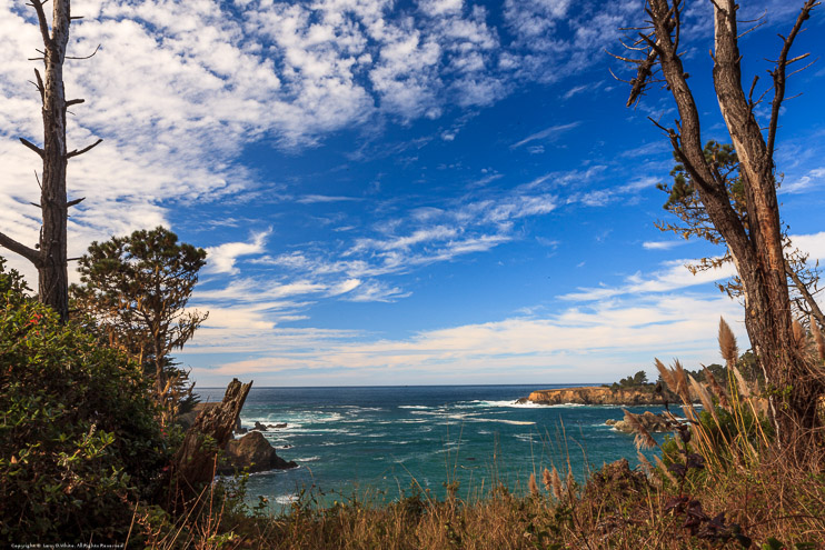 Mendocino Headlands