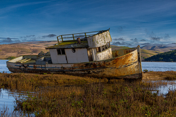 Wreak of the Point Reyes