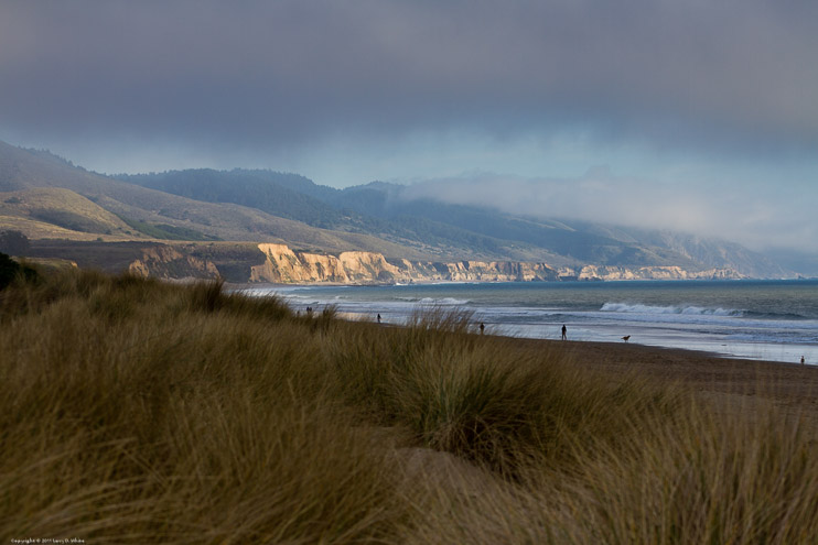 Coast near Point Reyes