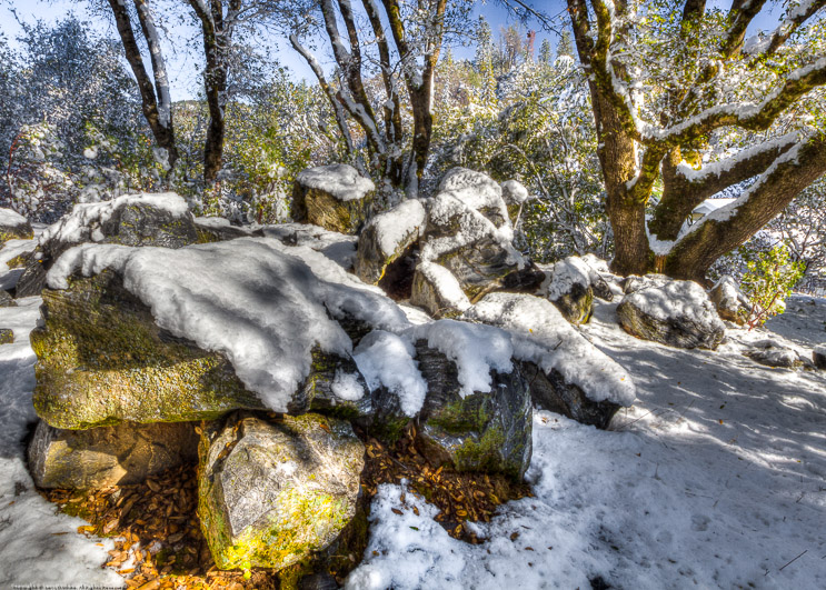 Snow in the Hills