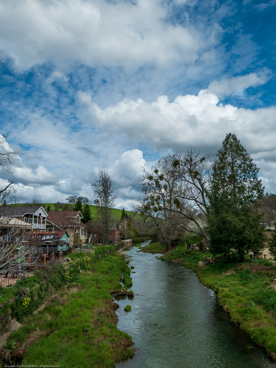 Along Sutter Creek in early Spring