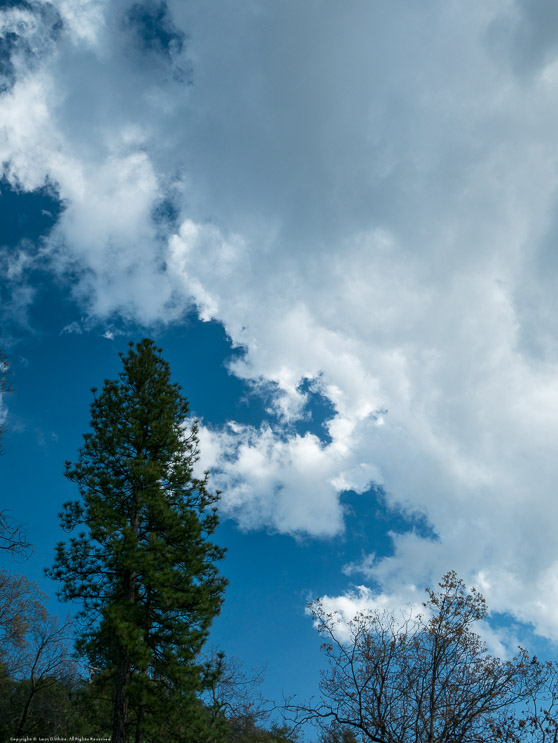 Clouds between Sutter Creek and Murphys