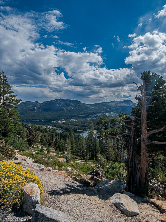 Vista along Highway 88