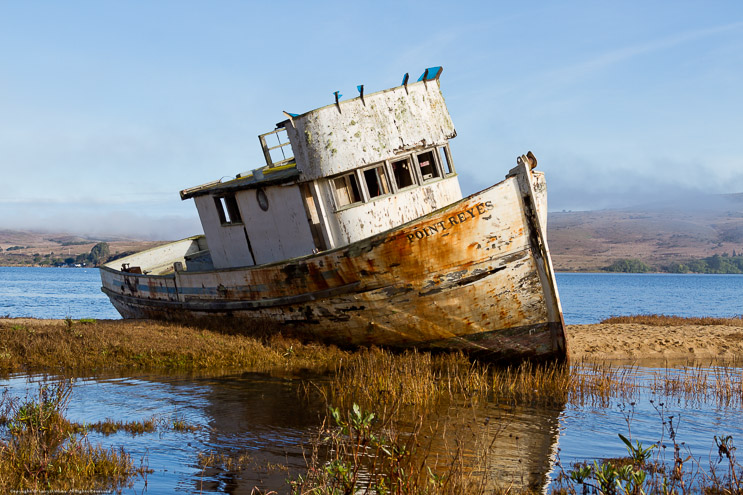 Wreak of the Point Reyes