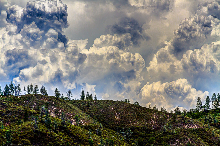 Mid-Summer Thunderheads