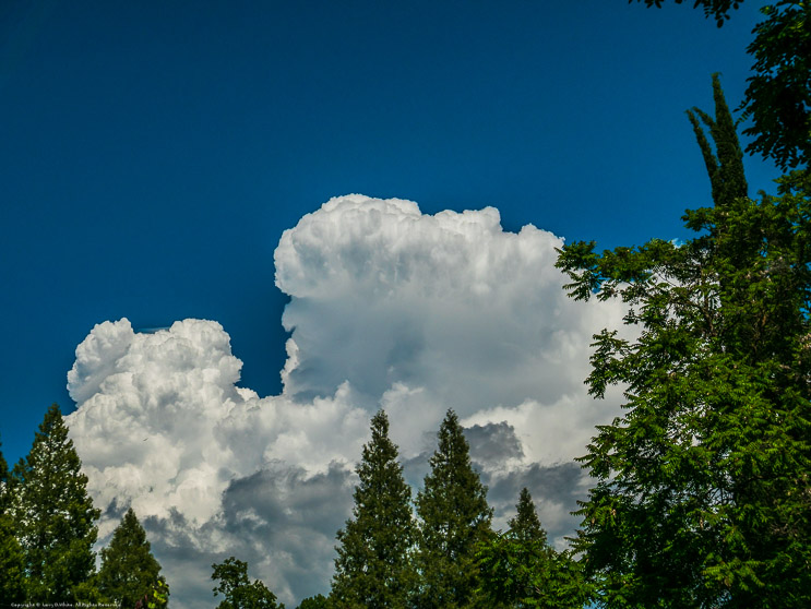 Thunderheads above Murphys