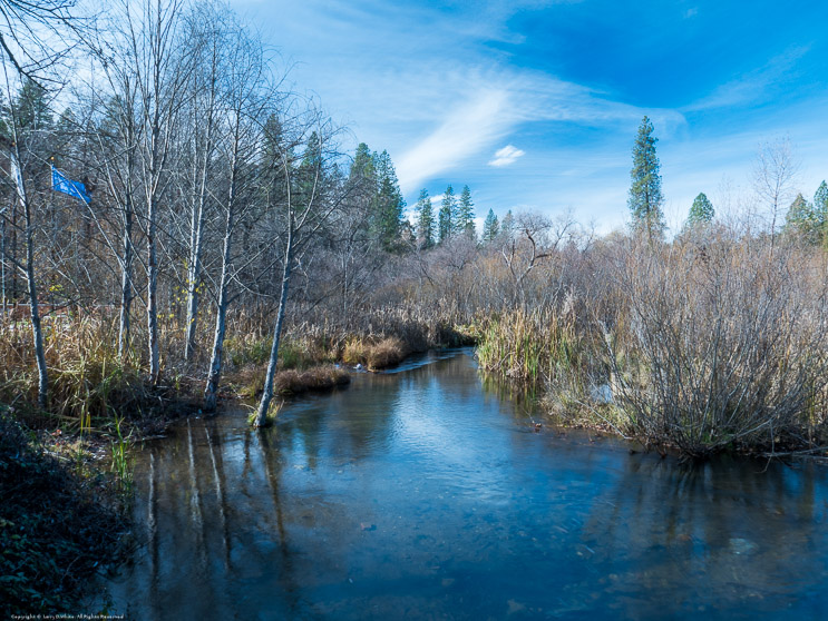 Angels Creek, Murphys