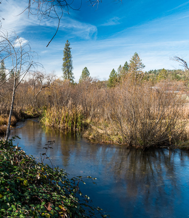 Angels Creek, Murphys