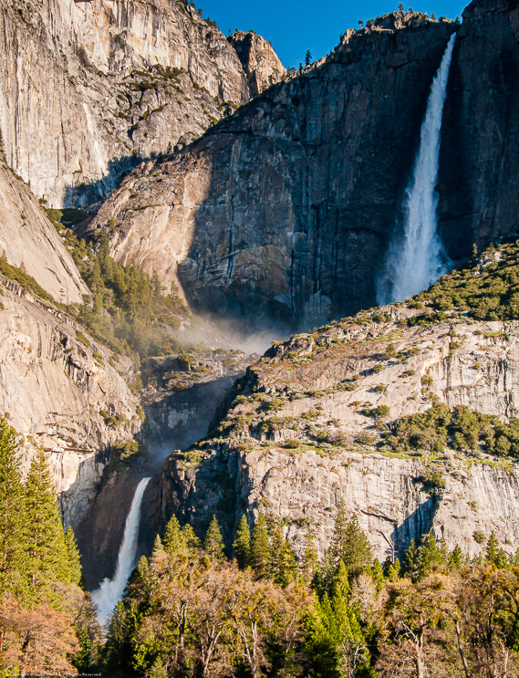 Yosemite Falls from Chapel Meadow Early Morning