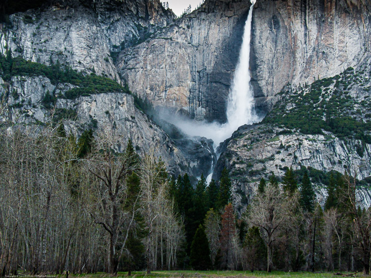 Yosemite Falls from Chapel Meadows at Sunset