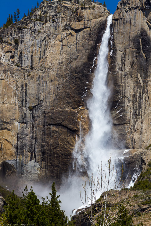 Yosemite Falls from the Valley Floor