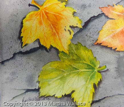 Maple Leaves on Gray