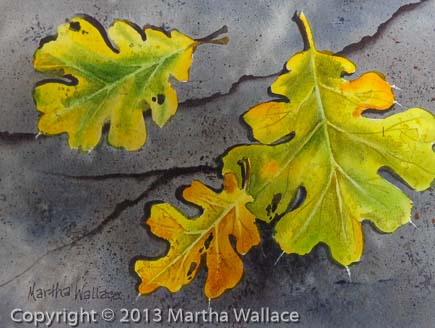 Oak Leaves on Gray