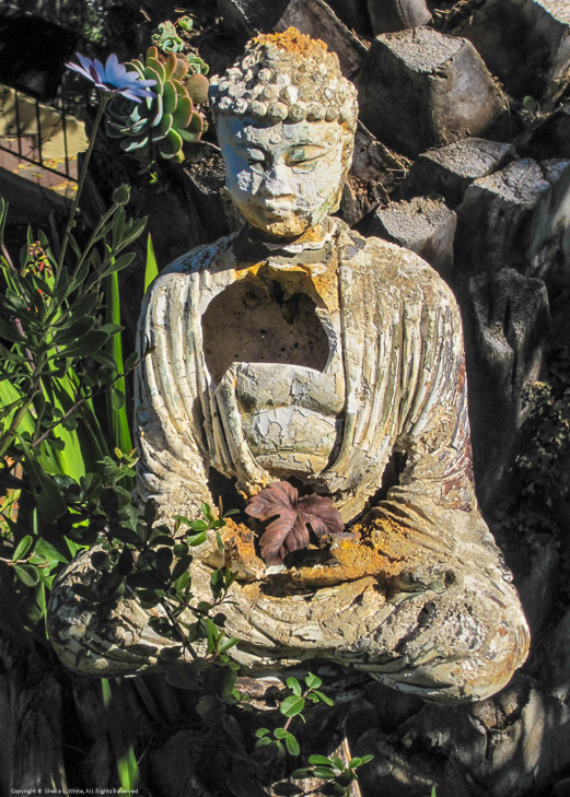 Buddha